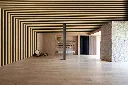 bahia 2.webp
