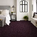dark purple muestra.webp