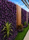 arrayan morado.webp