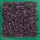 TEKNO_ARRAYAN MORADO.webp