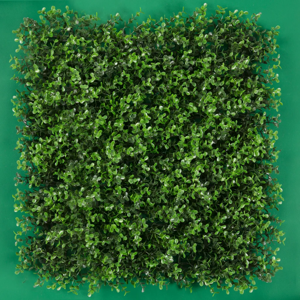 TEKNO_ARRAYAN VERDE.webp