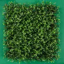 TEKNO_ARRAYAN VERDE.webp