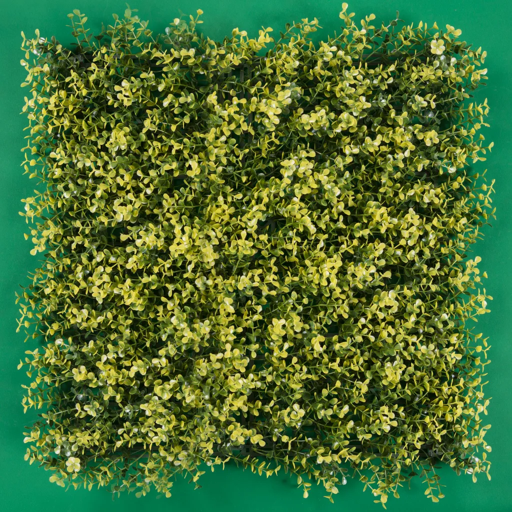 TEKNO_ARRAYAN AMARILLO.webp