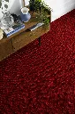 muestra cranberry.webp