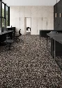 CAFE WELLINGTON MUESTRA.webp