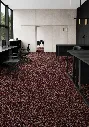 GUINDA ROJA.webp