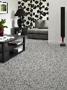 invasor gris muestra.webp