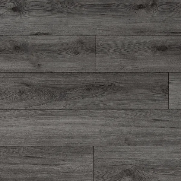 trend grey.webp
