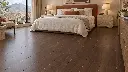 CARIBBEAN WALNUT INST.webp