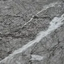 grey m.webp