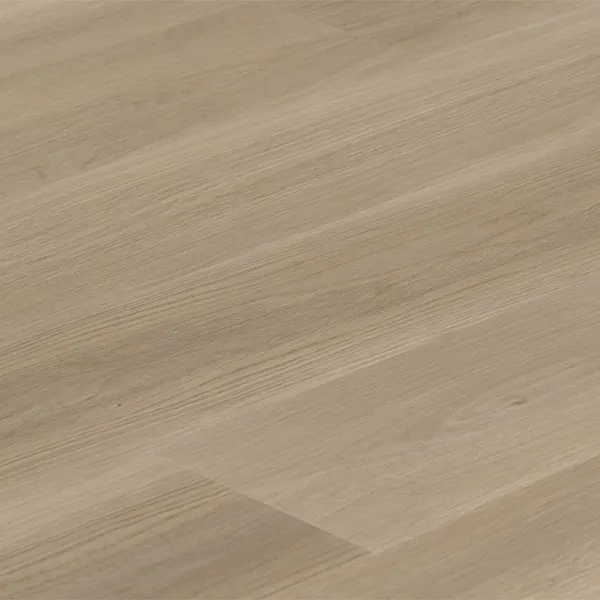 CAMEL OAK  2.webp