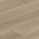 CAMEL OAK  2.webp