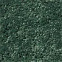 TAKE PART 12 GOING  GREEN