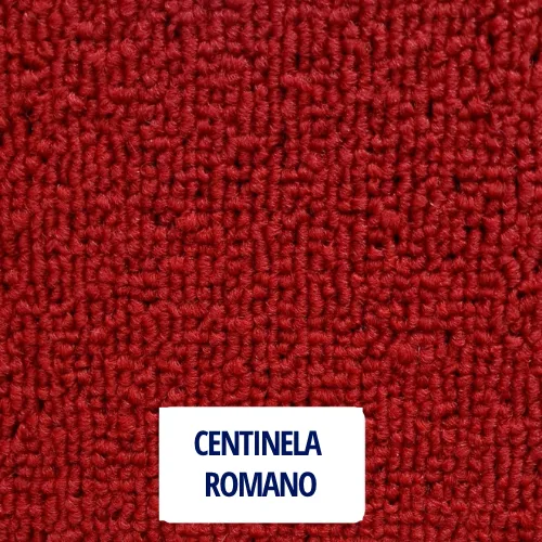 CENTINELA ROMANO
