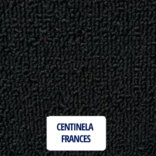 CENTINELA  FRANCES