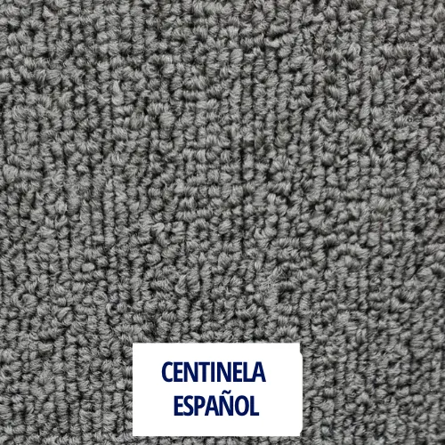 CENTINELA  ESPAÑOL