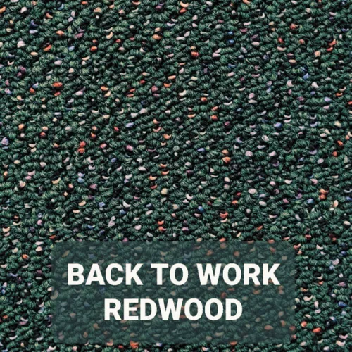 BACK TO WORK REDWOOD