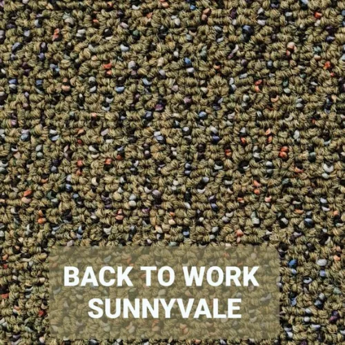 BACK TO WORK SUNNYVALE