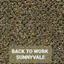 BACK TO WORK SUNNYVALE