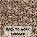 BACK TO WORK CONCORD