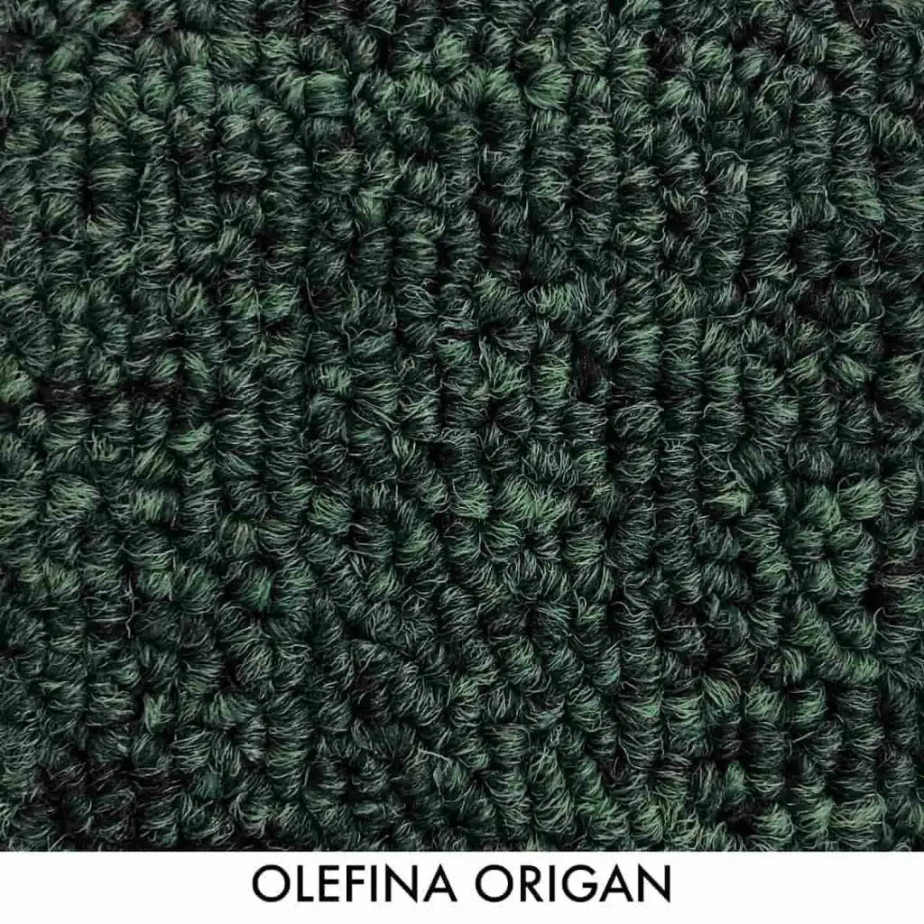 OLEFINA ORIGAN