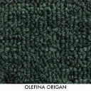 OLEFINA ORIGAN