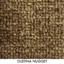 OLEFINA NUGGET