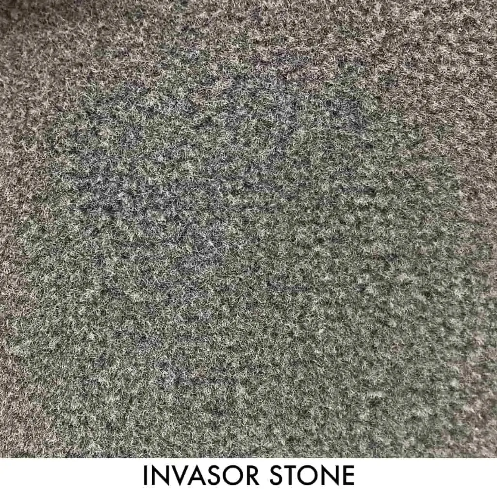 INVASOR STONE