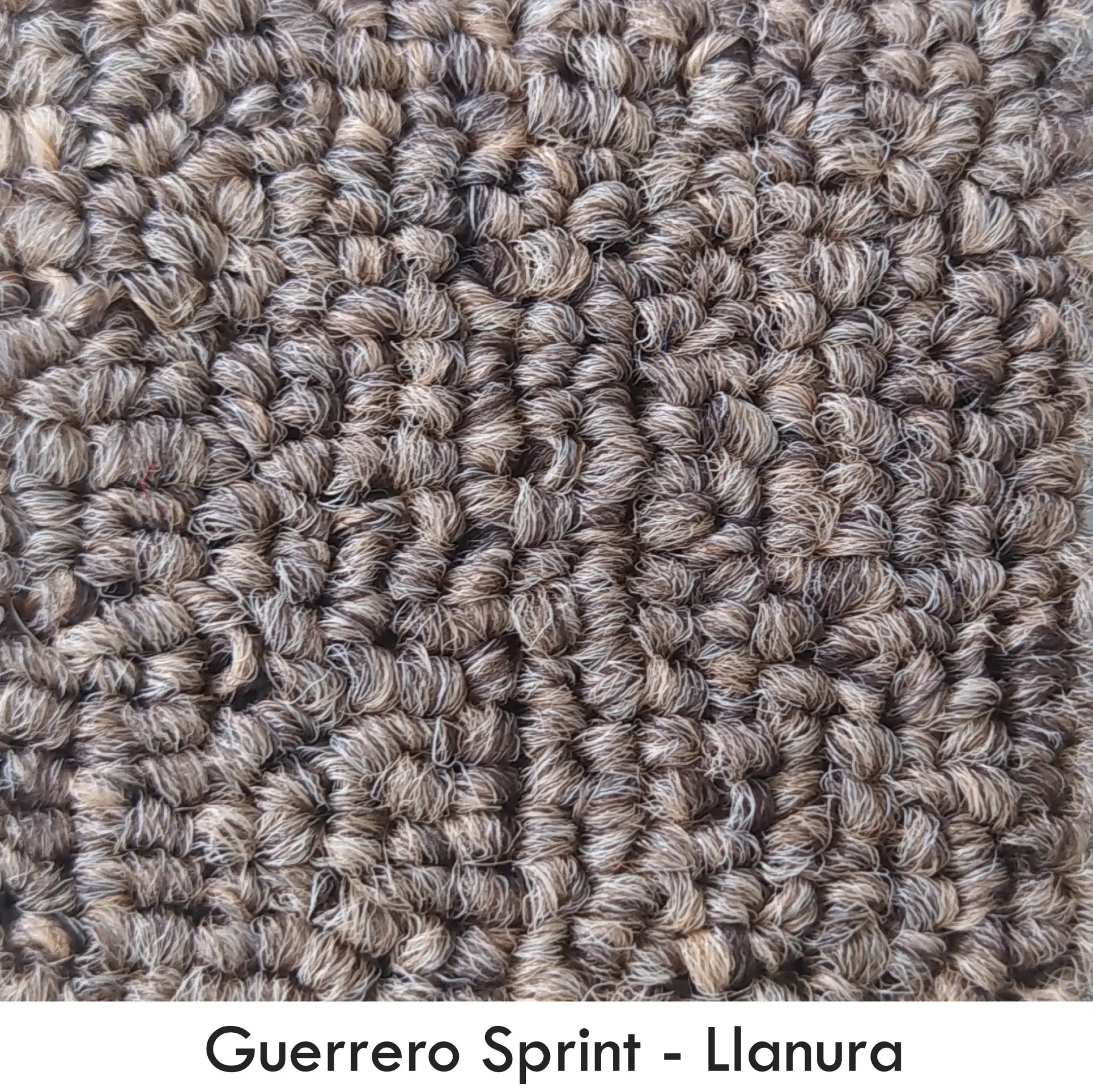 GUERRERO-SPRINT LLANURA