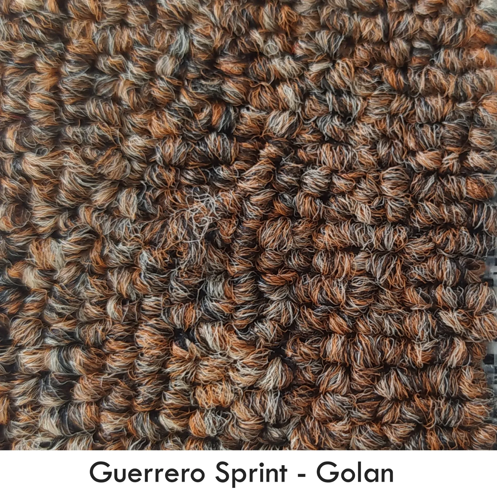 GUERRERO-SPRINT GOLAN