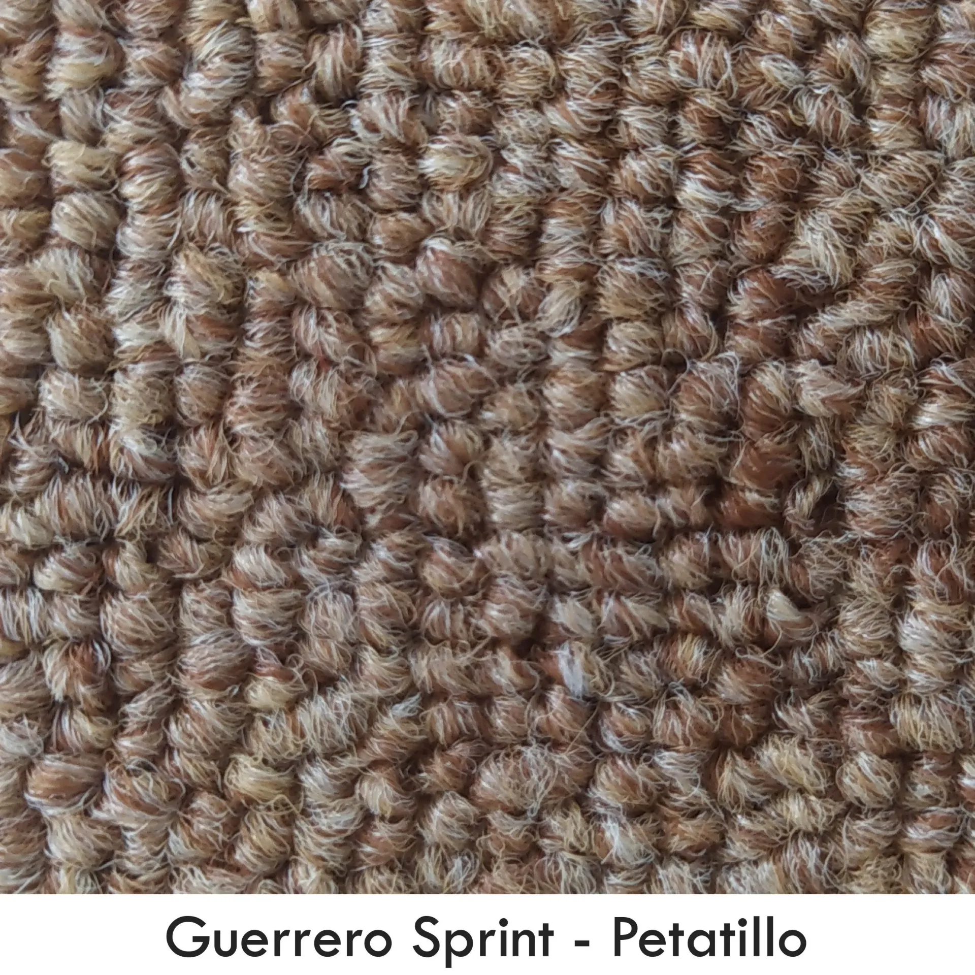GUERRERO-SPRINT PETATILLO