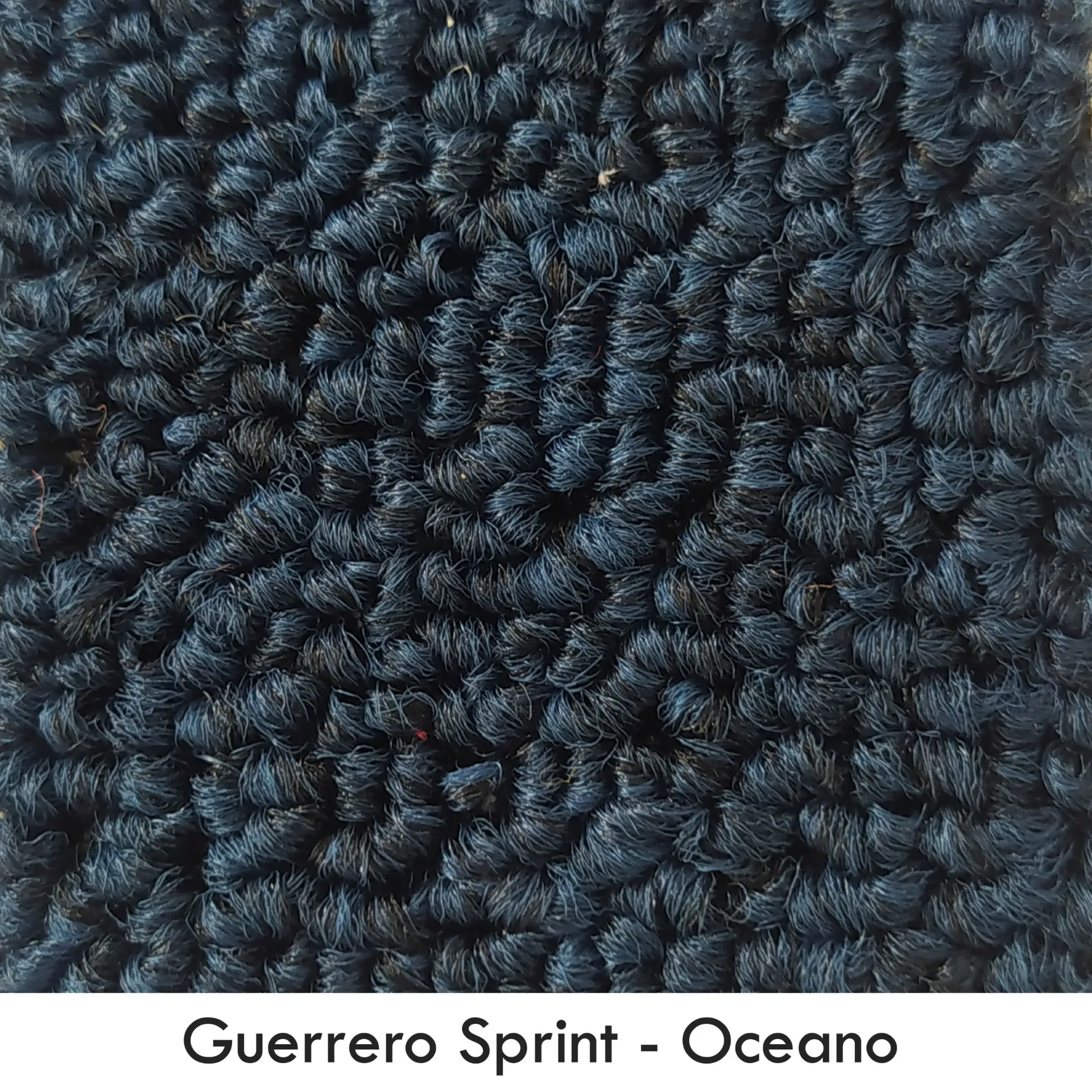 GUERRERO-SPRINT OCEANO