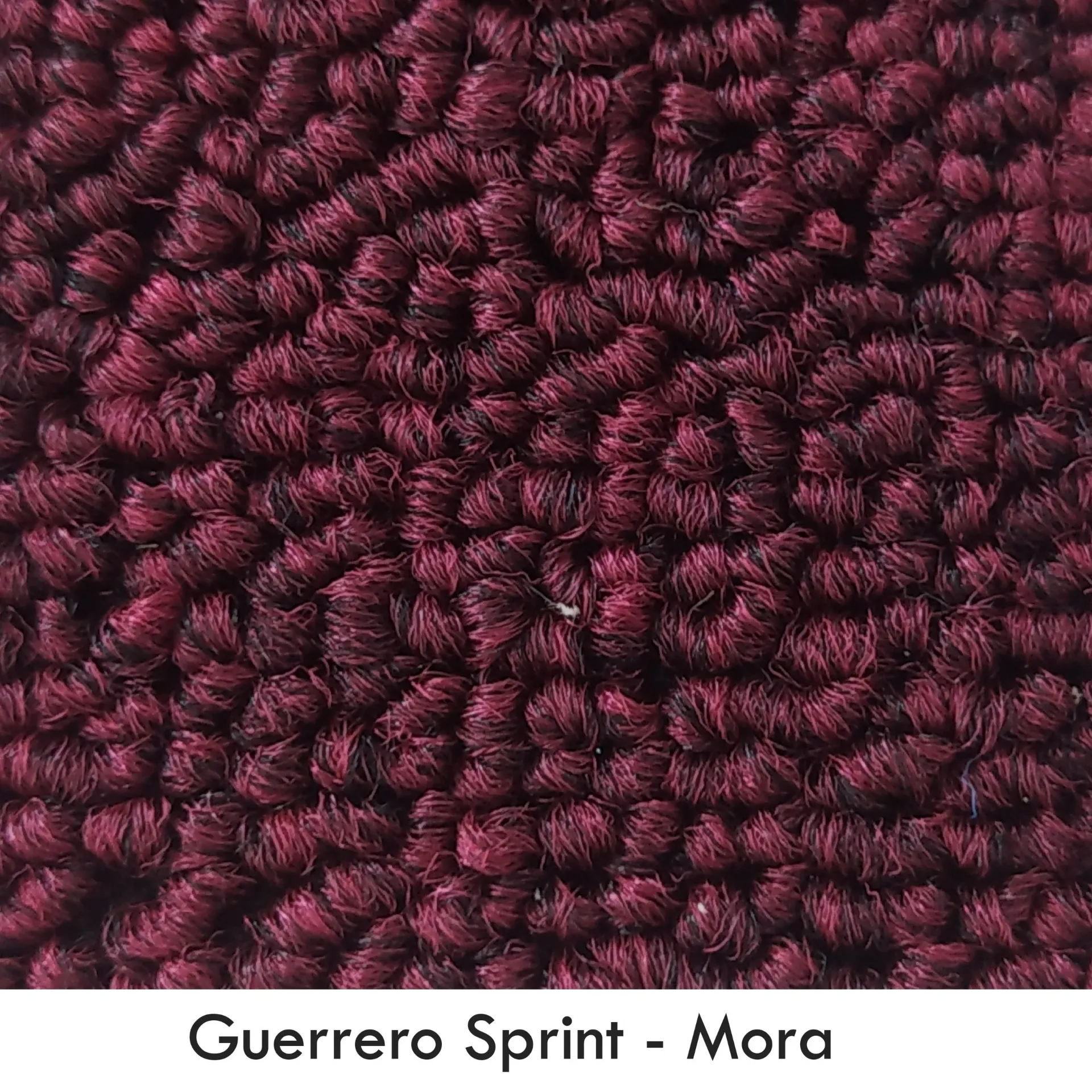 GUERRERO-SPRINT MORA