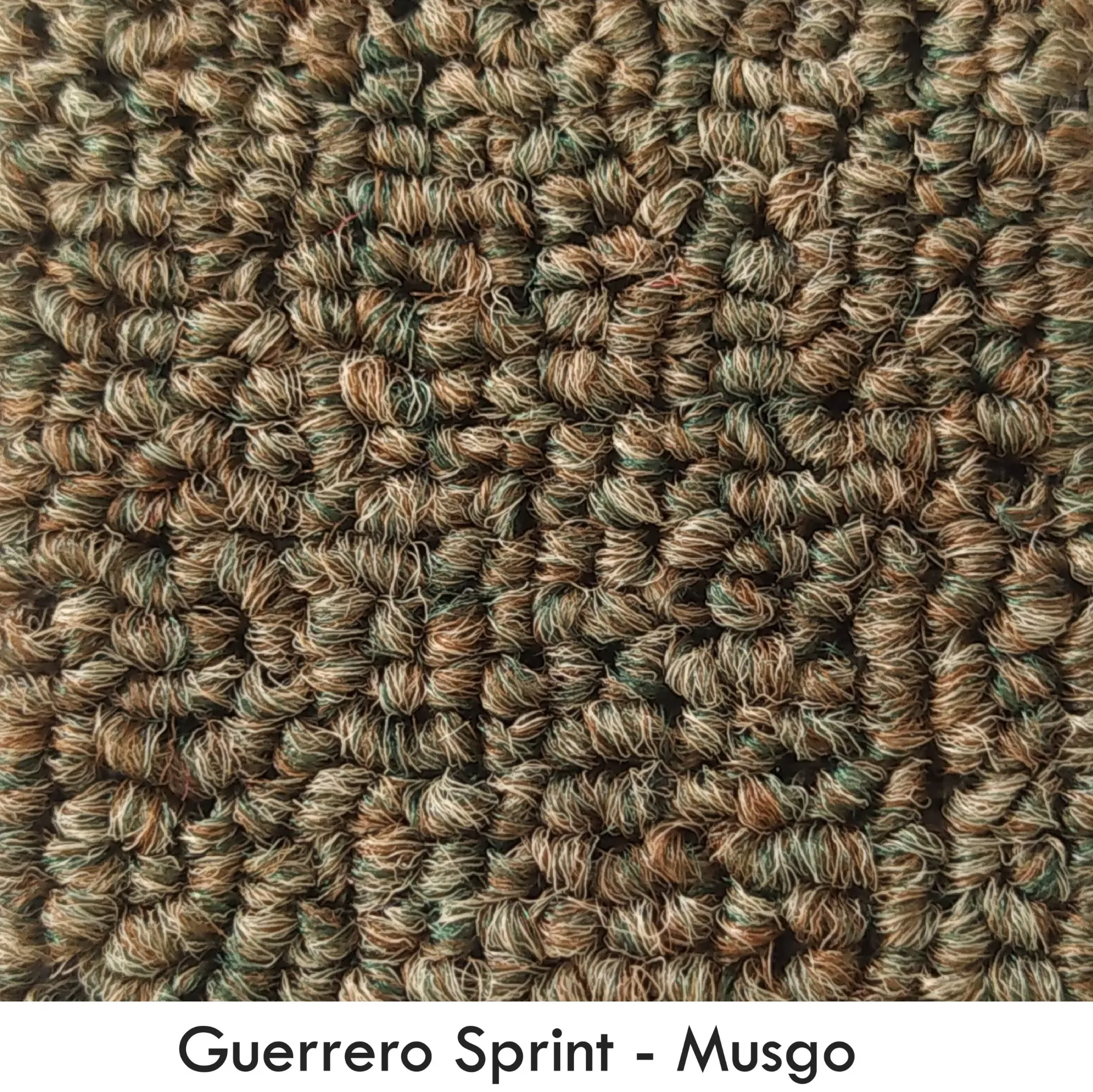 GUERRERO-SPRINT MUSGO