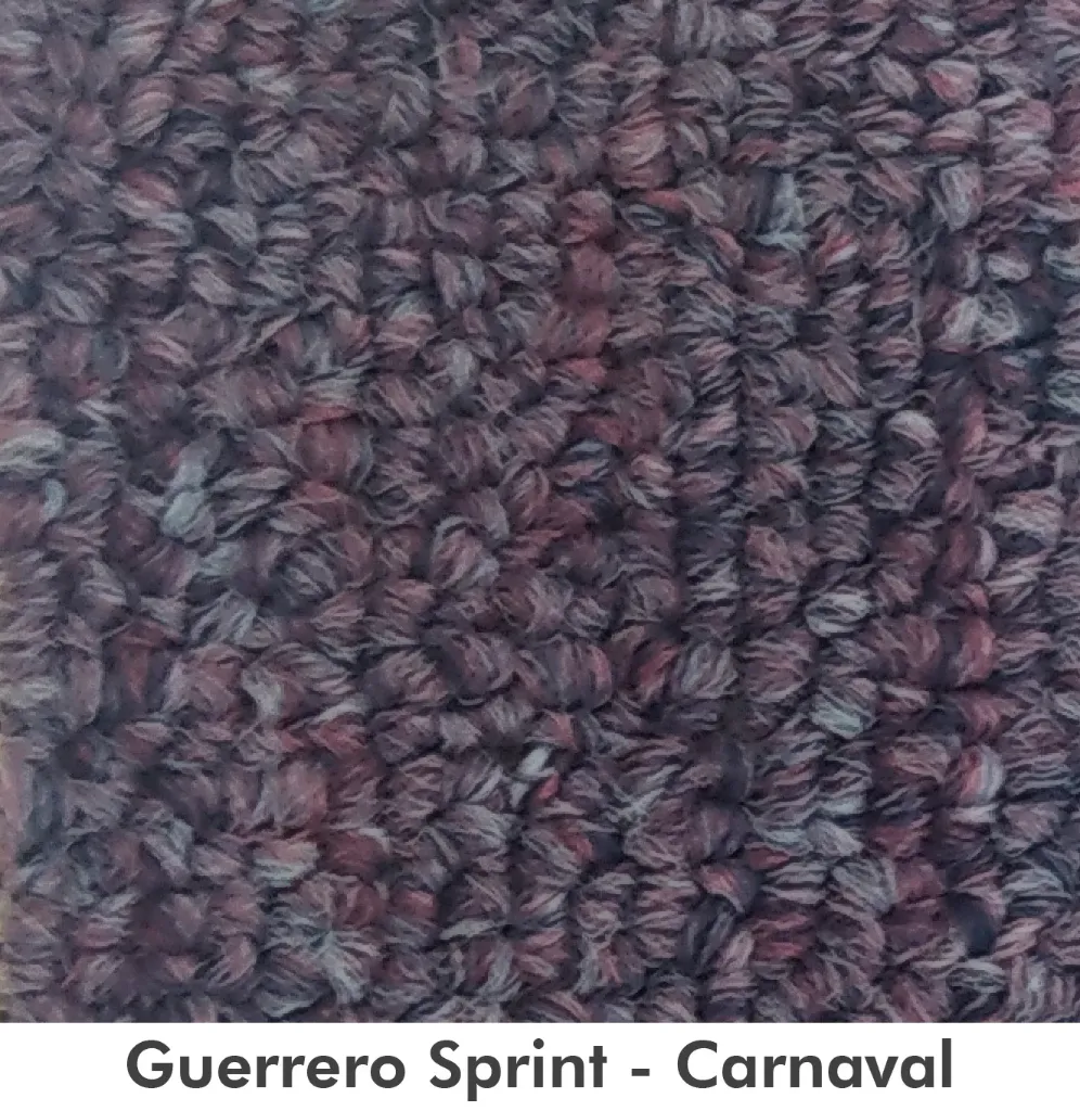 GUERRERO-SPRINT CARNAVAL