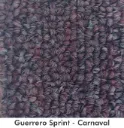 GUERRERO-SPRINT CARNAVAL