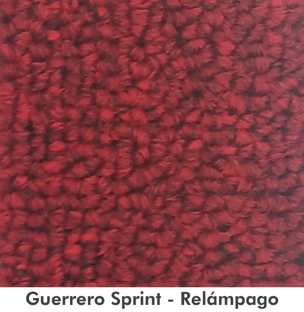GUERRERO-SPRINT RELAMPAGO