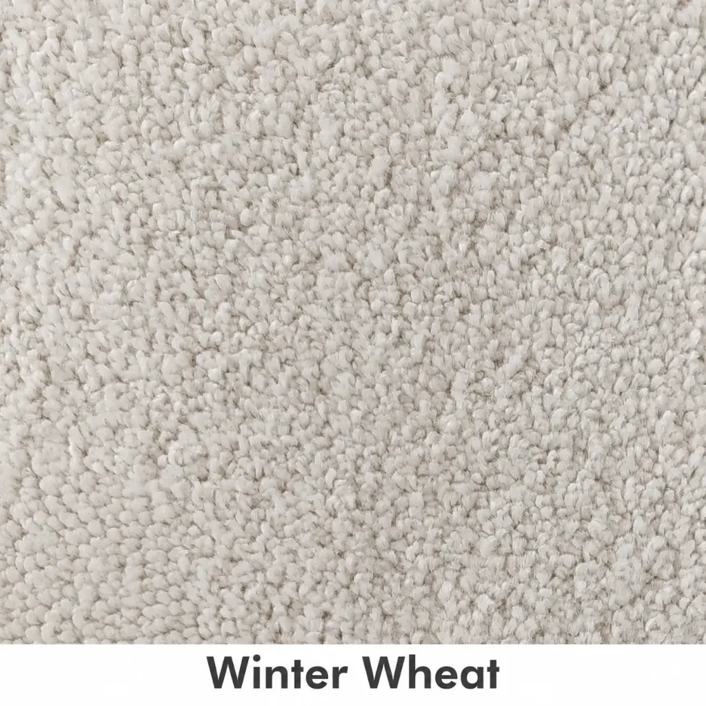 ALLEGRO WINTER WHEAT