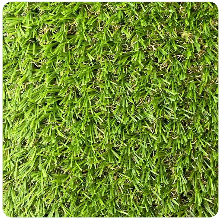 PASTO BREEZE 20