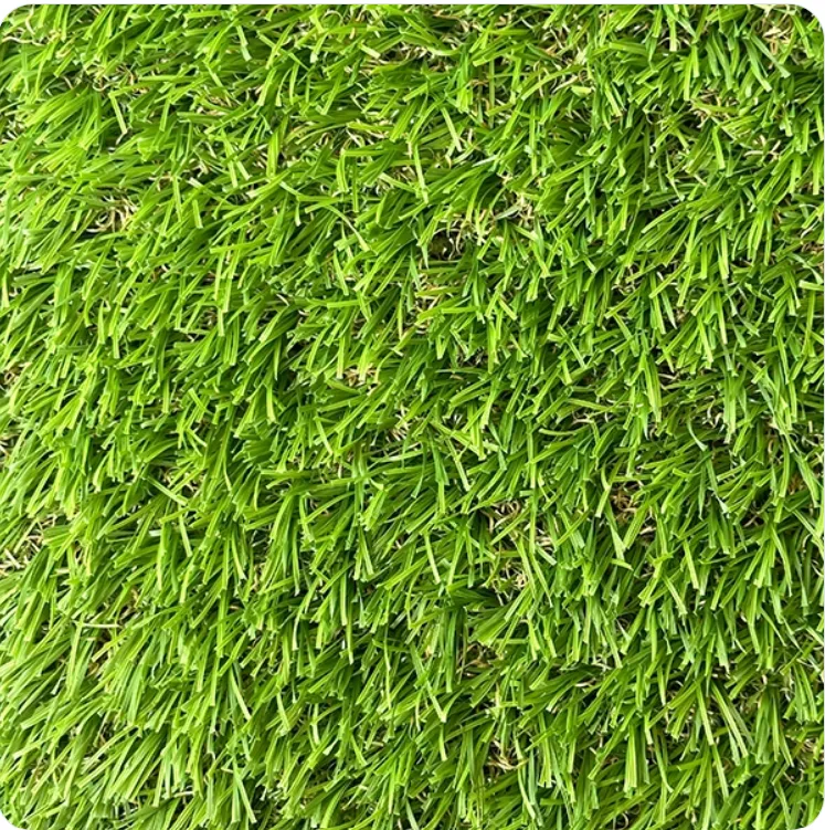 PASTO BREEZE 30