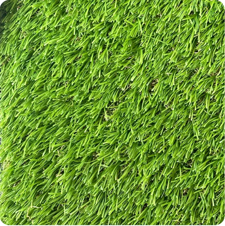 PASTO BREEZE 35