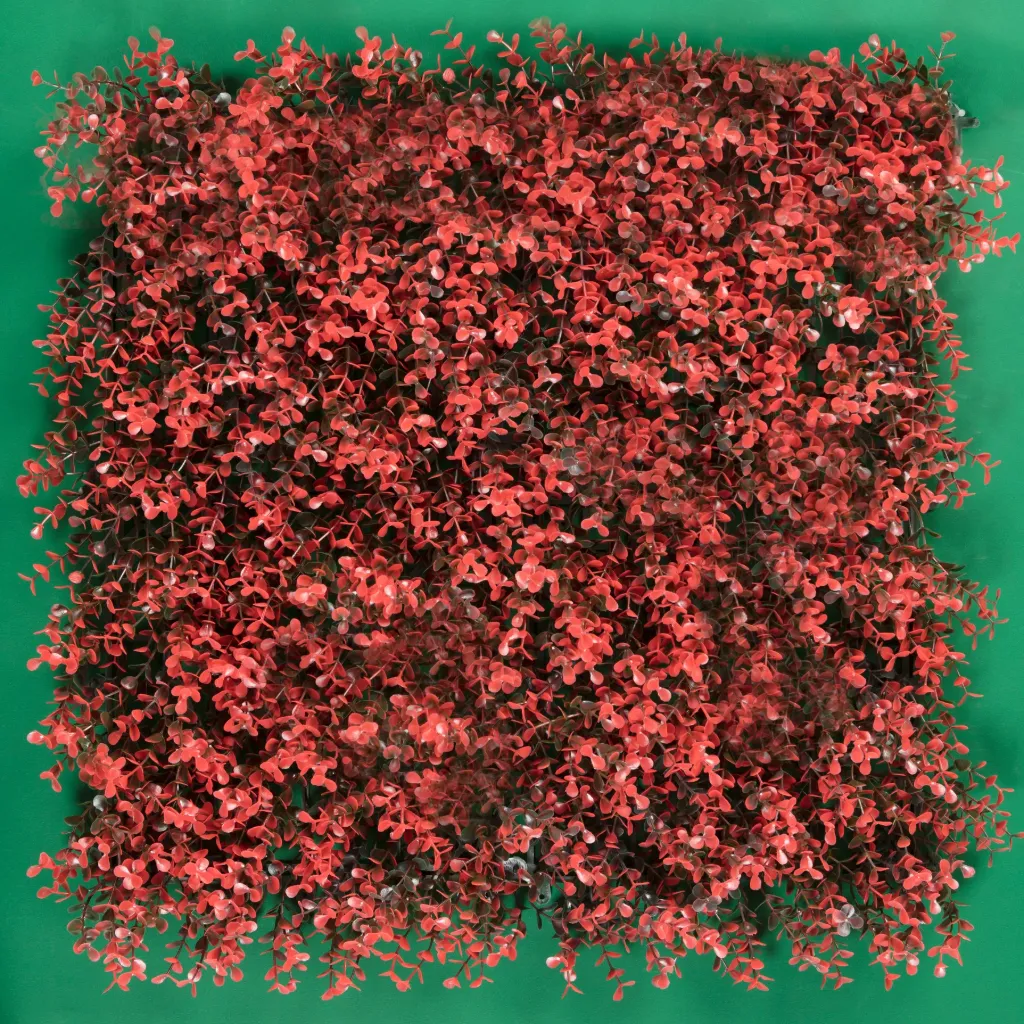 MODELO ARRAYAN RED