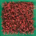 MODELO ARRAYAN RED
