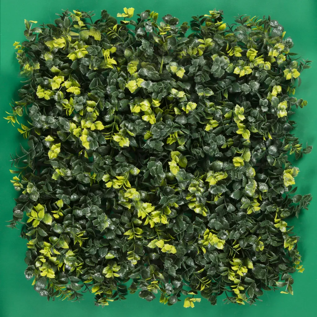 MODELO MENTA