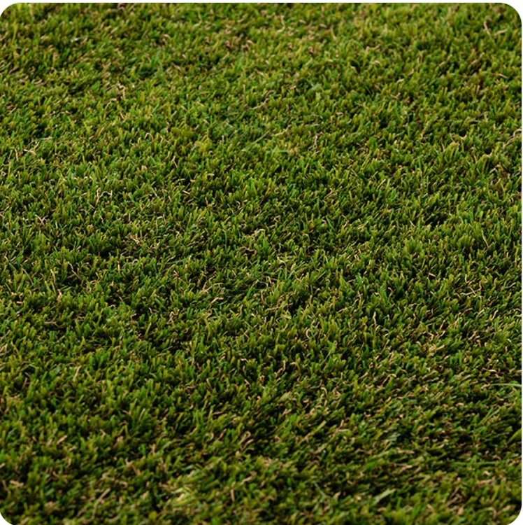 PASTO EMERALD 30