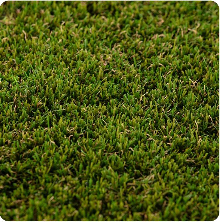 PASTO EMERALD 40