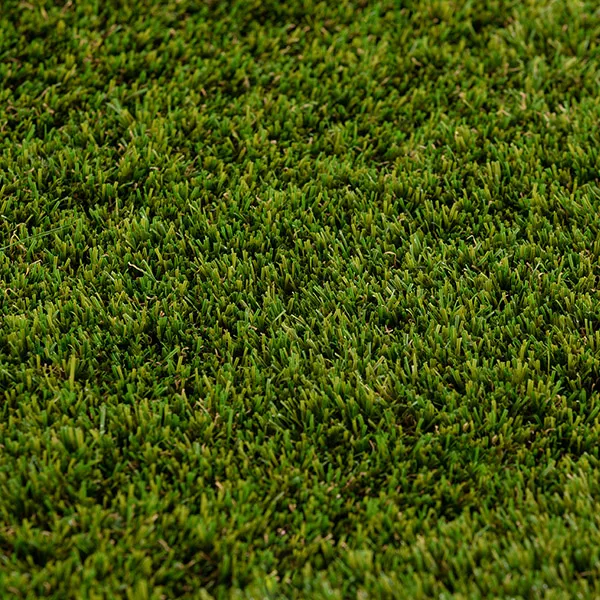 PASTO EMERALD 60